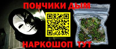 шишки Заволжье