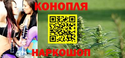 шишки Заволжье