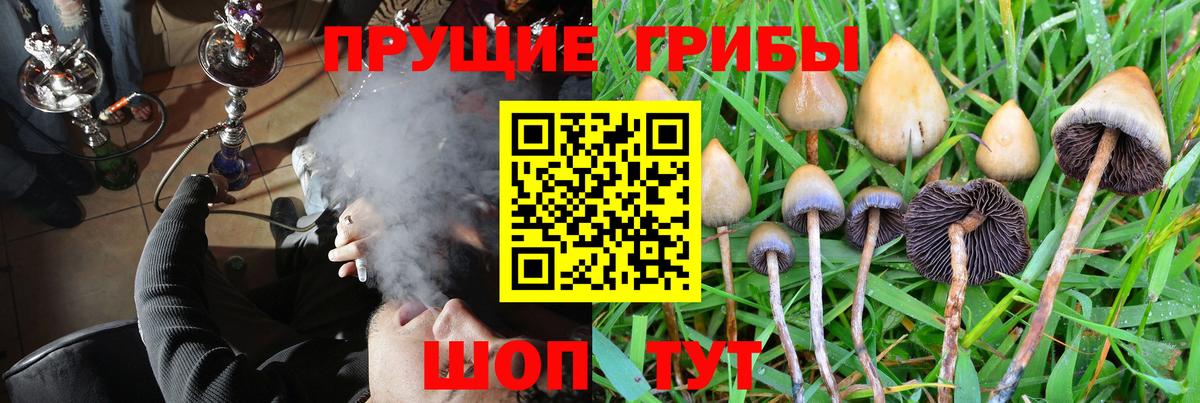 Псилоцибиновые грибы Psilocybe  Псилоцибиновые грибы мицелий  купить наркотик  Биробиджан  Вход с VPN 